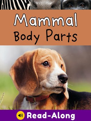 cover image of Mammal Body Parts
